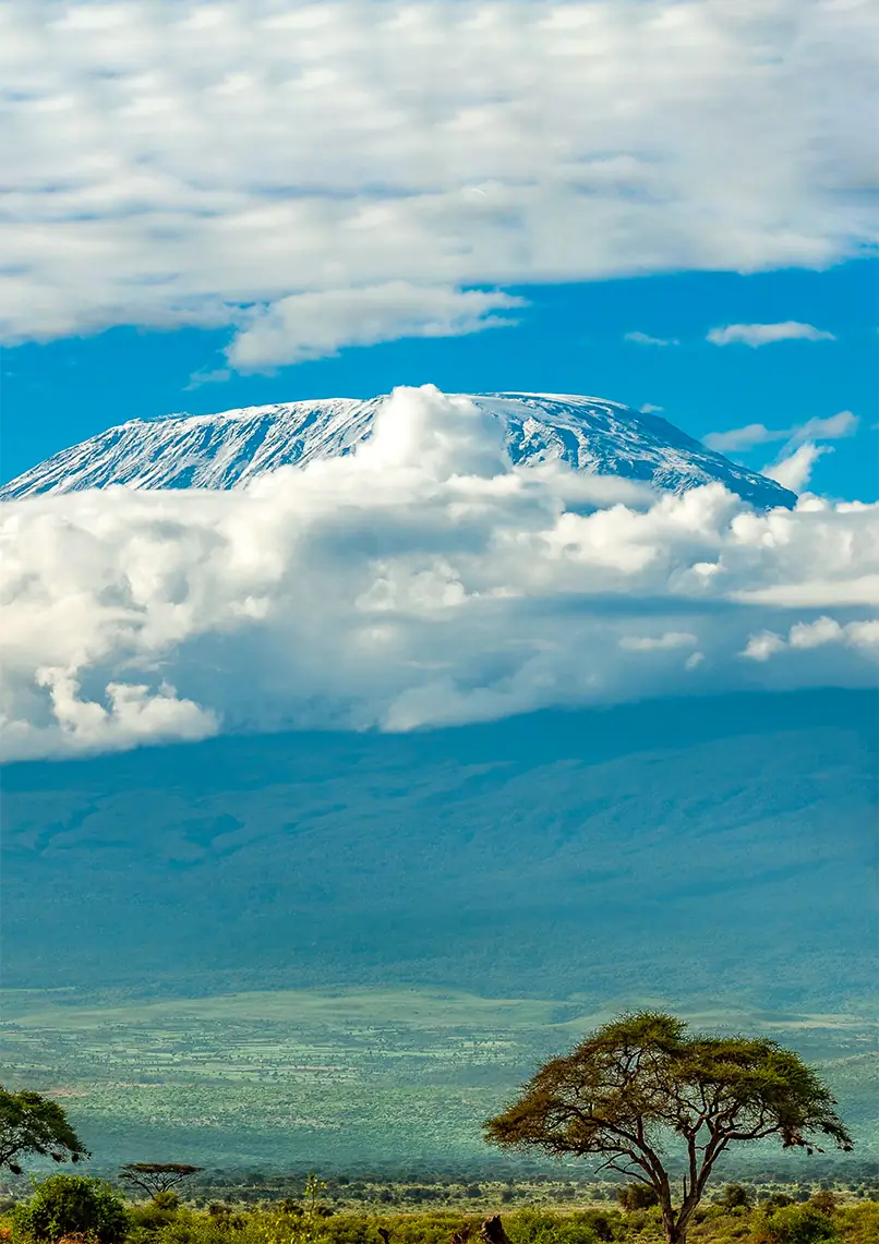 Marangu Route Kilimanjaro climb